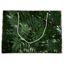 Vert dans Yellowstone