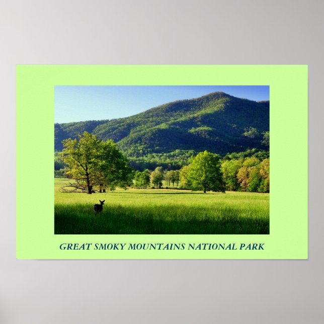 Grand Smoky Mountains National Park Photo Poster (Devant)
