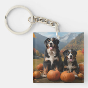 Grand Suisse Montagne Pup Automne Citrouille de pl