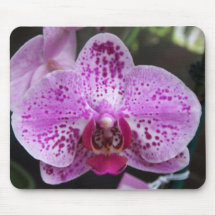 Grand tapis de souris pourpre d'orchidée