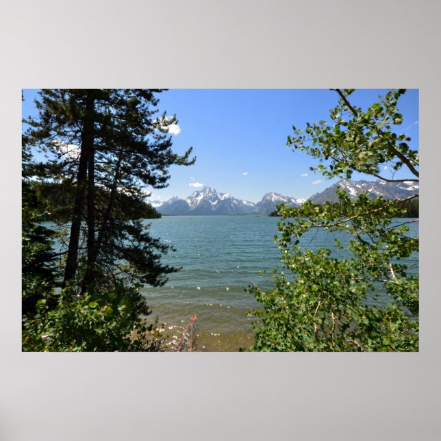 Grand Teton 0594 8-11 Poster (Front)