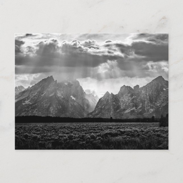 Grand Teton Mountain Range in Black and White Postcard (Front)