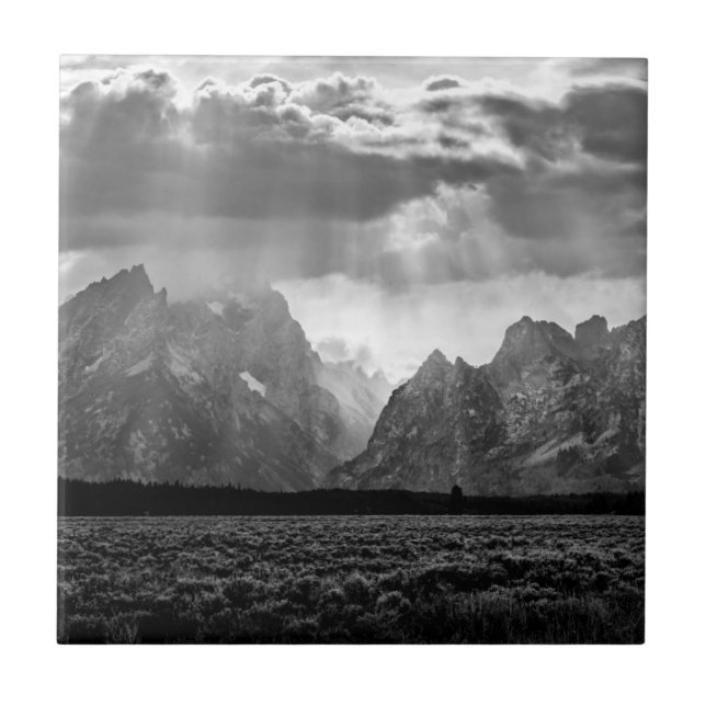 Grand Teton Mountain Range in Black and White Tile (Front)