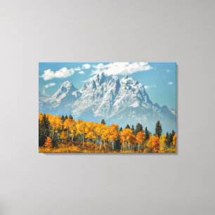 Grand Teton Mountains in the Fall Canvas Print