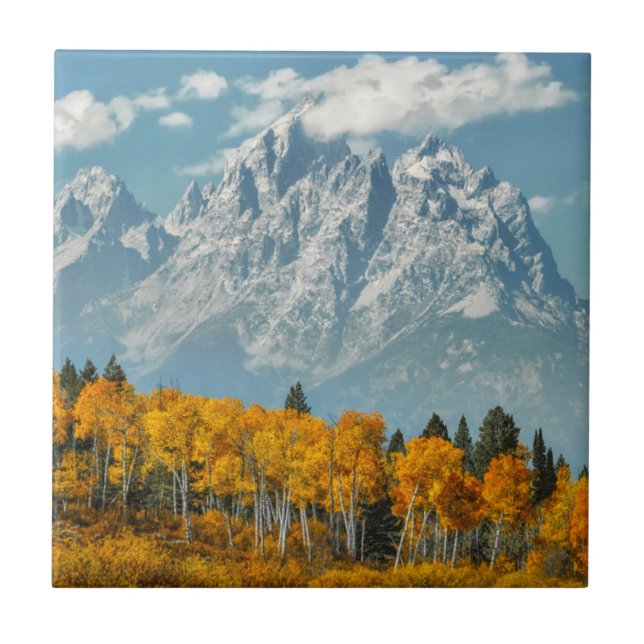 Grand Teton Mountains in the Fall Tile (Front)