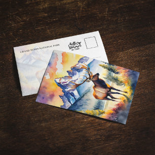 Grand Teton National Park Elk Wyoming Carte postal