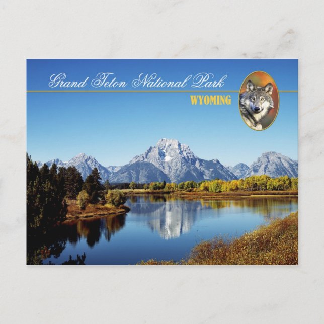 Grand Teton National Park in Wyoming Postcard (Front)