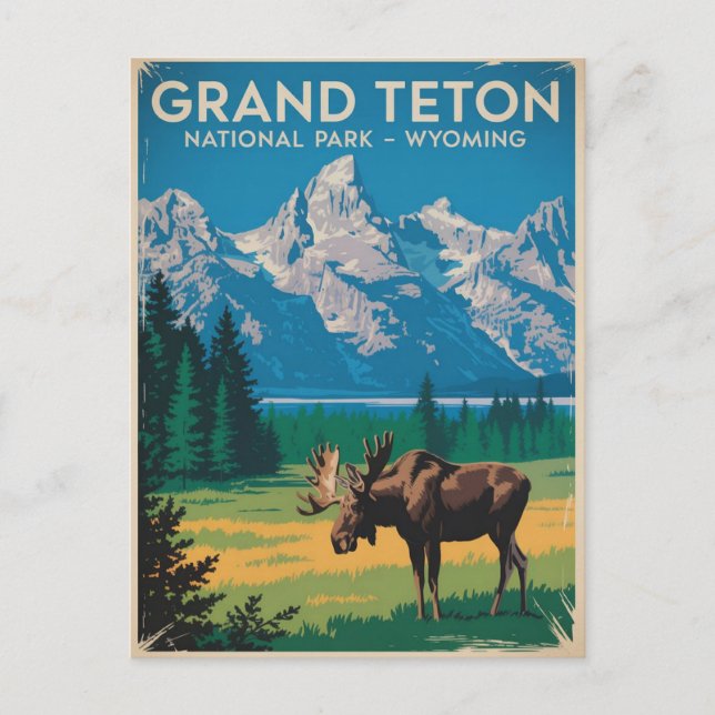 Grand Teton National Park Moose Vintage Travel Postcard (Front)