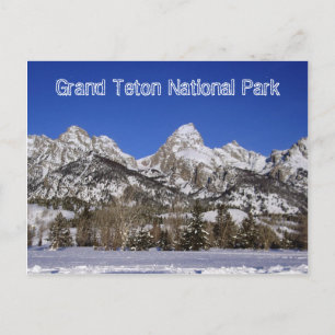 Grand Teton National Park Postcard