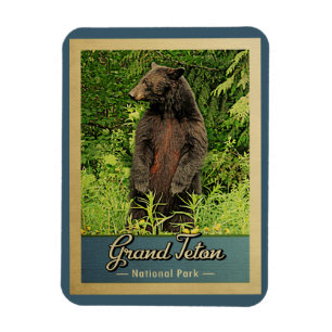 Grand Teton National Park Vintage Bear Magnet