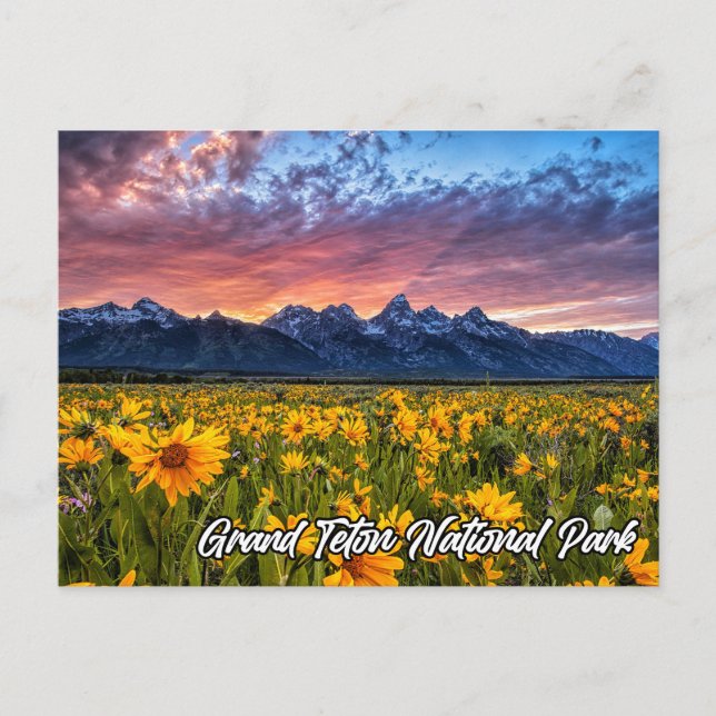 Grand Teton National Park, Wyoming Postcard (Front)