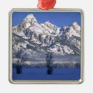GRAND TETON NATIONAL PARK, WYOMING. USA. Fog & Metal Ornament
