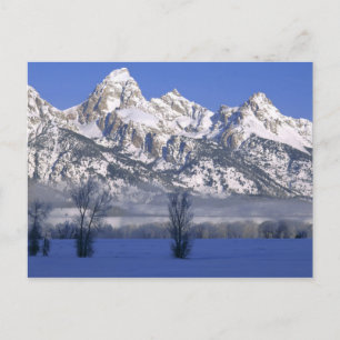 GRAND TETON NATIONAL PARK, WYOMING. USA. Fog & Postcard