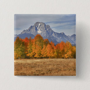 Grand Teton NP, Mount Moran and aspen trees 2 Inch Square Button
