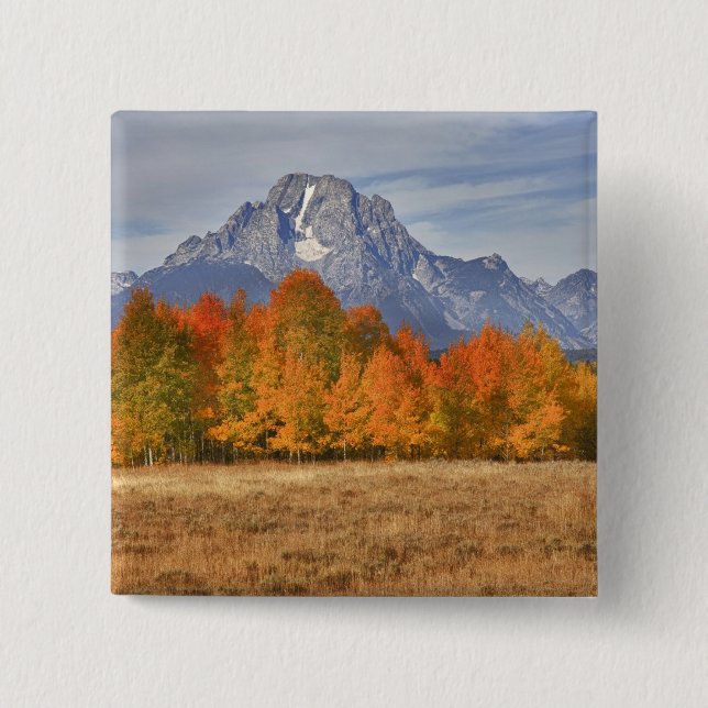 Grand Teton NP, Mount Moran and aspen trees 2 Inch Square Button (Front)