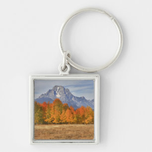 Grand Teton NP, Mount Moran and aspen trees Keychain