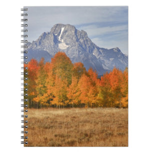 Grand Teton NP, Mount Moran and aspen trees Notebook
