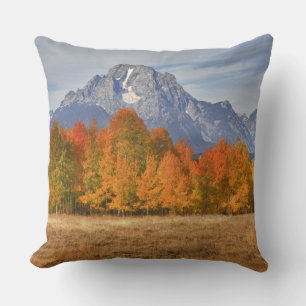 Grand Teton NP, Mount Moran and aspen trees Throw Pillow