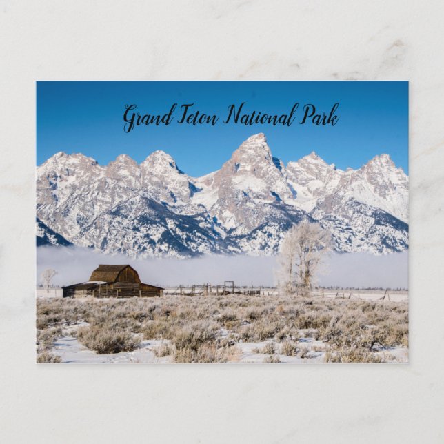 Grand Teton NP Postcard (Front)