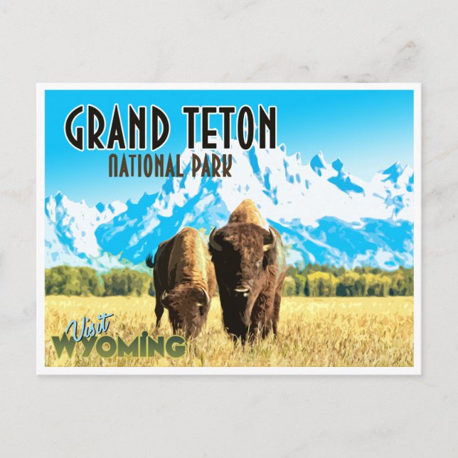 Grand Teton Park Wyoming Vintage Travel Postcard (Front)