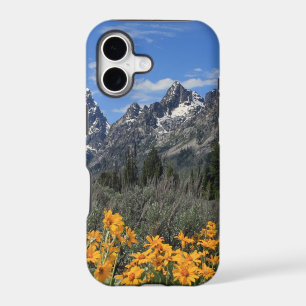 Grand Teton Springtime Souvenir Photo