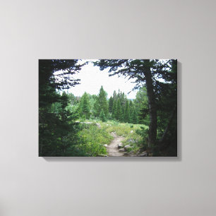 Grand Teton Trail Canvas Print
