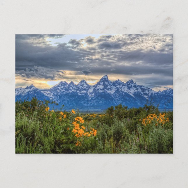 Grand Tetons Postcard (Front)