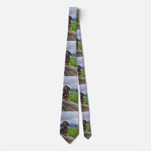 Grand Tetons Tie