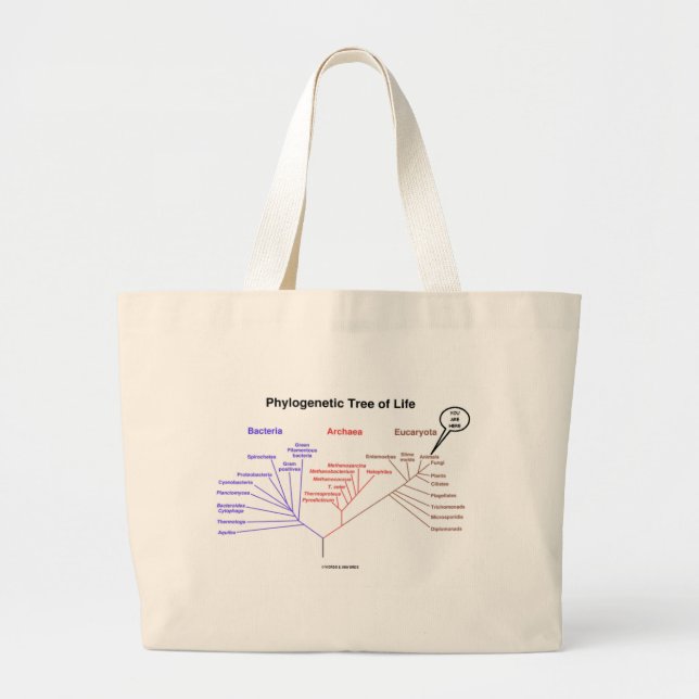 Grand Tote Bag Arbre de la vie phylogénétique - vous êtes ici (la (Devant)