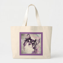 Chiwawa aux cheveux longs