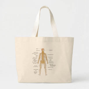 Grand Tote Bag Diagramme du système nerveux du corps humain
