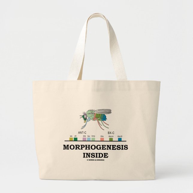 Grand Tote Bag Intérieur de morphogénèse (gènes de drosophile de (Devant)