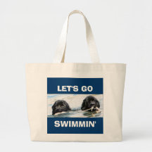 les toits de natation