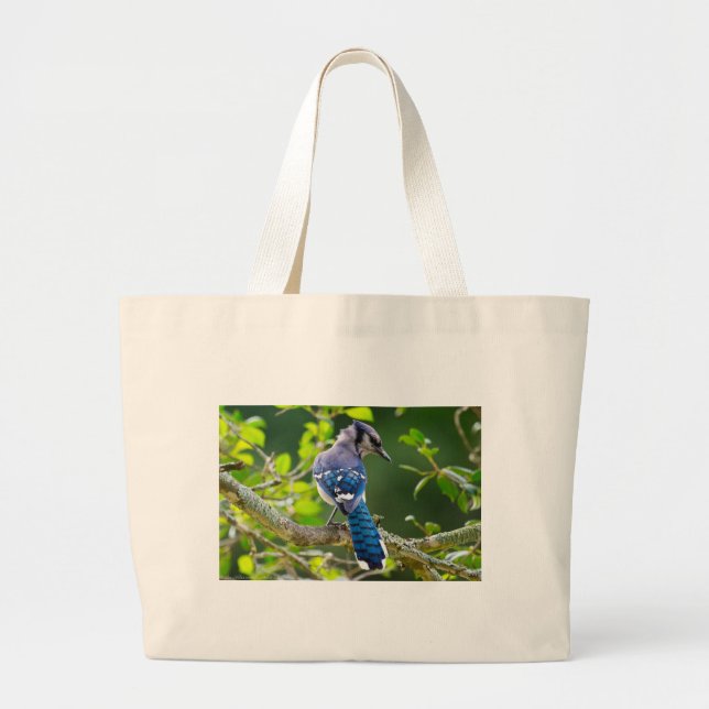 Grand Tote Bag Nature Photographie Shy Blue Jay Vêtements Cadeaux (Devant)
