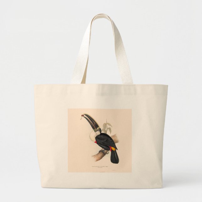 Grand Tote Bag Peinture animalière d'antiquités Toucans (Devant)