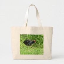 Pukeko