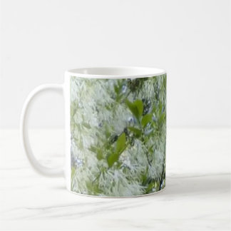 Grandaddy Graybeard Tree Mug