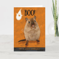 Granddaughter Boo Humourous Halloween Jumpy Gerbil