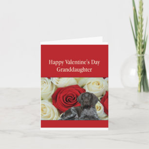 Granddaughter Glossy Grizzly Valentine Puppy Love Holiday Card