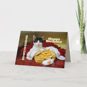 Granddaughter Happy Birthday Kitten with Toy Tiger Card