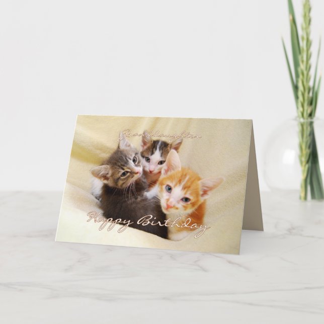 Granddaughter Happy Birthday Trio of Kittens Card (Front)