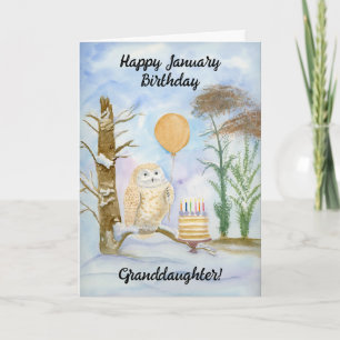 Granddaughter Happy January Birthday Owl Cake Card