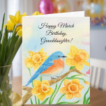 Granddaughter Happy March Birthday Blue Bird  Card<br><div class="desc">This spring birthday card features a bluebird nestled among daffodil-filled branches,  March’s birth flower,  symbolizing hope,  renewal,  and happiness. The gentle spring imagery creates a cheerful and heartfelt design,  making this card a thoughtful choice for celebrating a March birthday with warmth and meaning.</div>