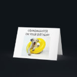 GRANDDAUGHTER ON YOUR BIRTHDAY CARD<br><div class="desc">Let YOUR granddaughter know that YOU wish HER a very "Happy Birthday" with this line of adorable dog in innertube line :)</div>