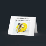 GRANDDAUGHTER ON YOUR BIRTHDAY CARD<br><div class="desc">Let YOUR granddaughter know that YOU wish HER a very "Happy Birthday" with this line of adorable dog in innertube line :)</div>