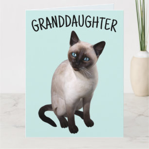 GRANDDAUGHTER SIAMESE CAT BIRTHDAY Greeting Card