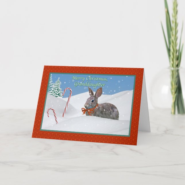 Granddaughter's Christmas Card with Rabbit (Front)