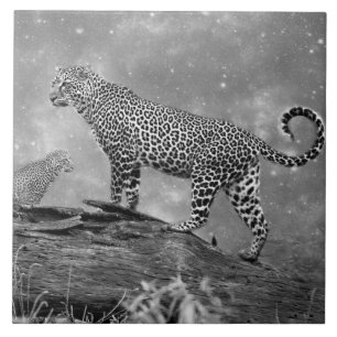 Grande (6" X 6") Carreaux photo en céramique