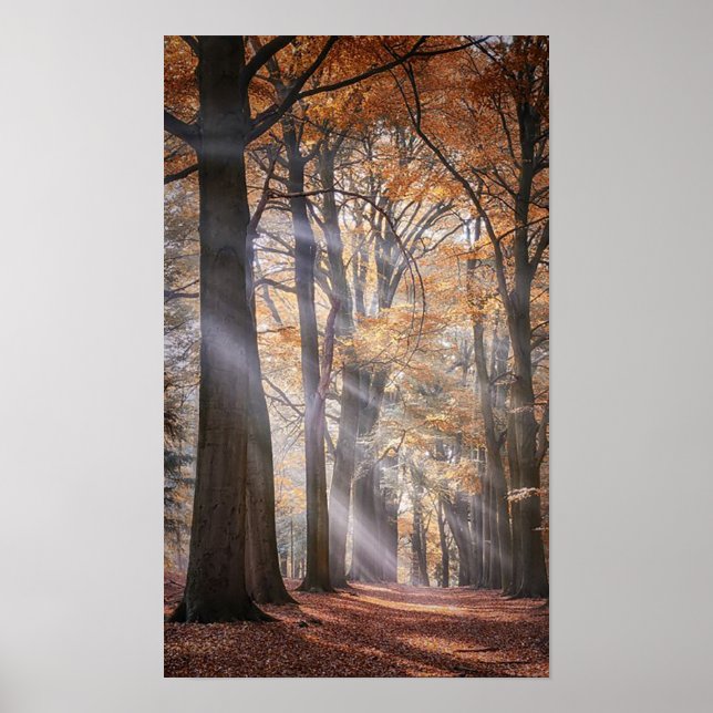 Grande affiche de la nature (Devant)