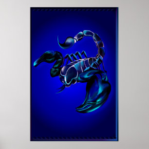 Grande affiche de scorpion noir